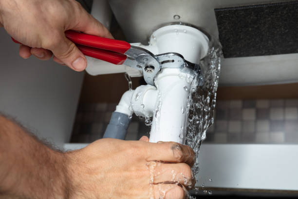 Best Basement water damage restoration  in The Acreage, FL