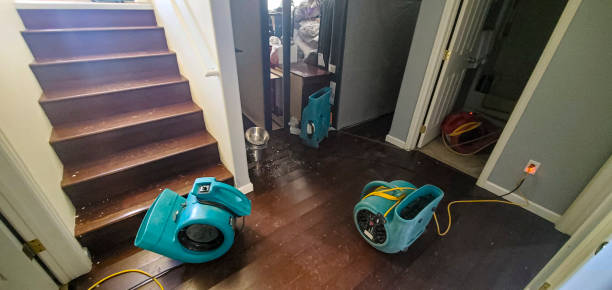 Trusted The Acreage, FL Water damage restoration Experts