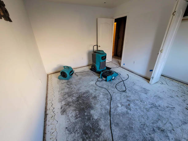 Best Flood damage cleanup  in The Acreage, FL