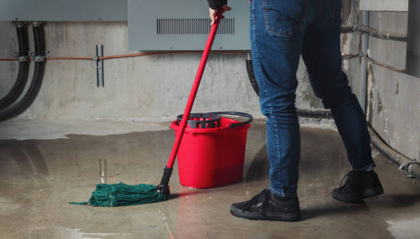 Best Local water damage restoration  in The Acreage, FL
