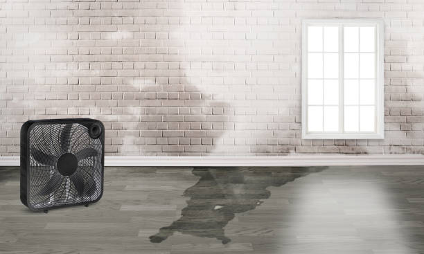 Best 24/7 water damage repair  in The Acreage, FL