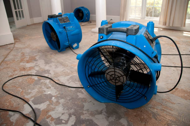 Best Water damage restoration near me  in The Acreage, FL