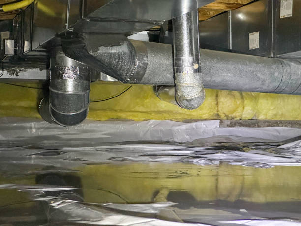 Best Water damage restoration near me  in The Acreage, FL