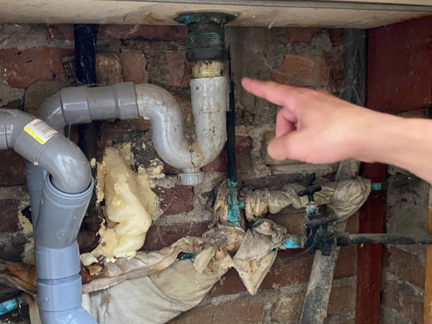 Best Mold removal after water damage  in The Acreage, FL